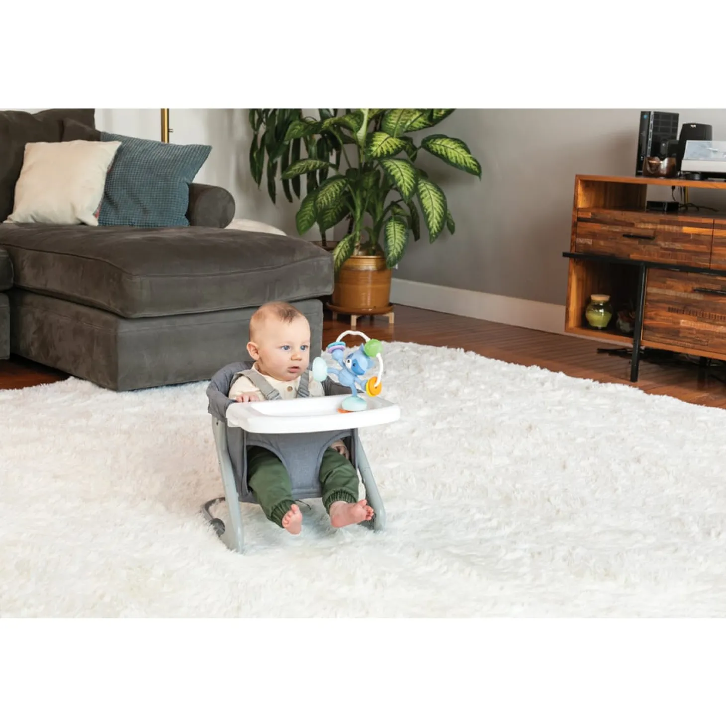 Infantino Jouet de table ventouse Raton Laveur Multicolore