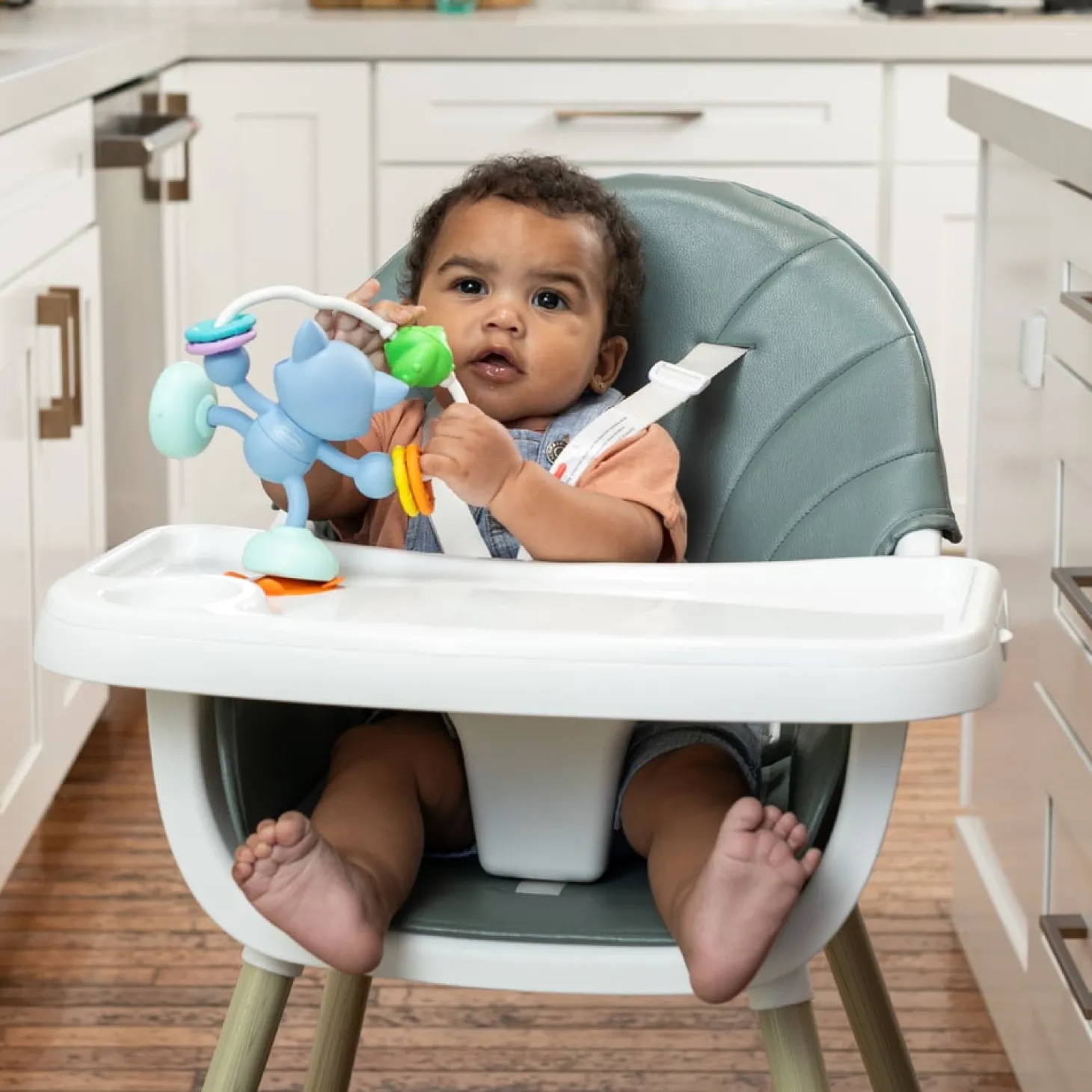 Infantino Jouet de table ventouse Raton Laveur Multicolore
