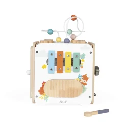 Janod Grand Cube Multi-Activites Pure Multicolore