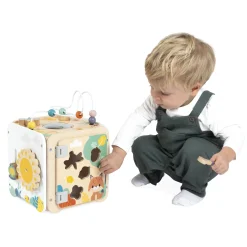 Janod Grand Cube Multi-Activites Pure Multicolore