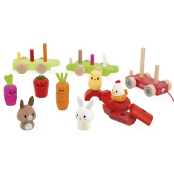 Janod                    Train Ferme    Multicolore