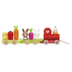 Janod                    Train Ferme    Multicolore