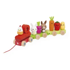 Janod                    Train Ferme    Multicolore