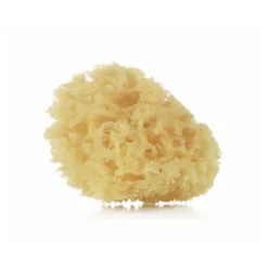 Jané 2 éponges naturelles
