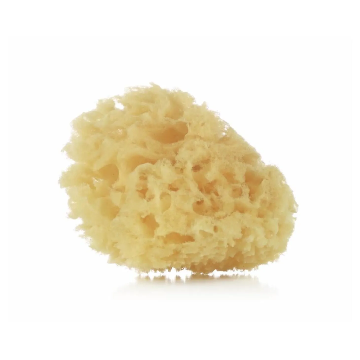 Jané 2 éponges naturelles