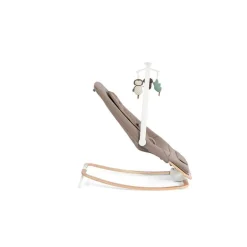 Joie                    Transat Dreamer    Strata Acorn