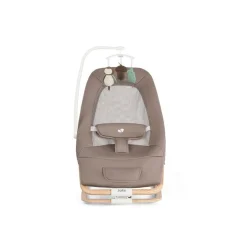 Joie                    Transat Dreamer    Strata Acorn