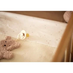 Jollein                    Attache Sucette Teddy Bear    Wild Rose