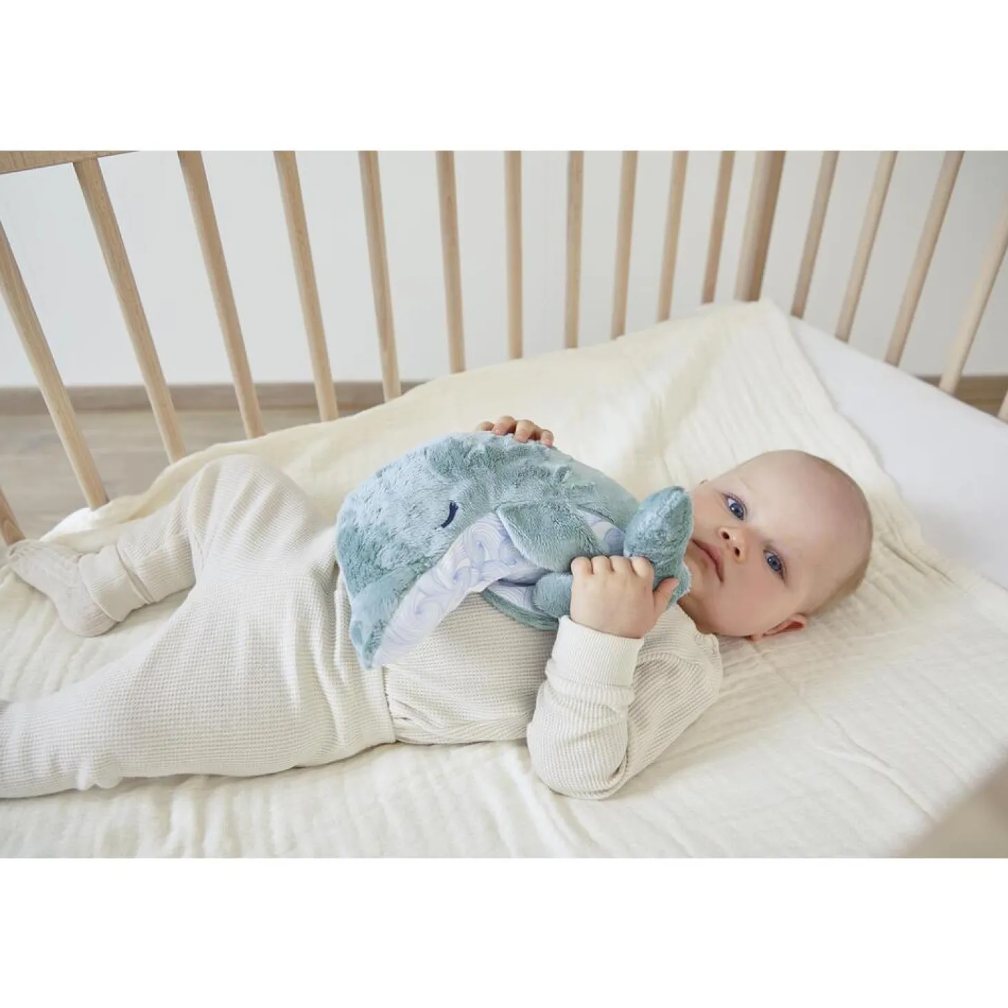 Kaloo Peluche Bien être Dauphin Bleu
