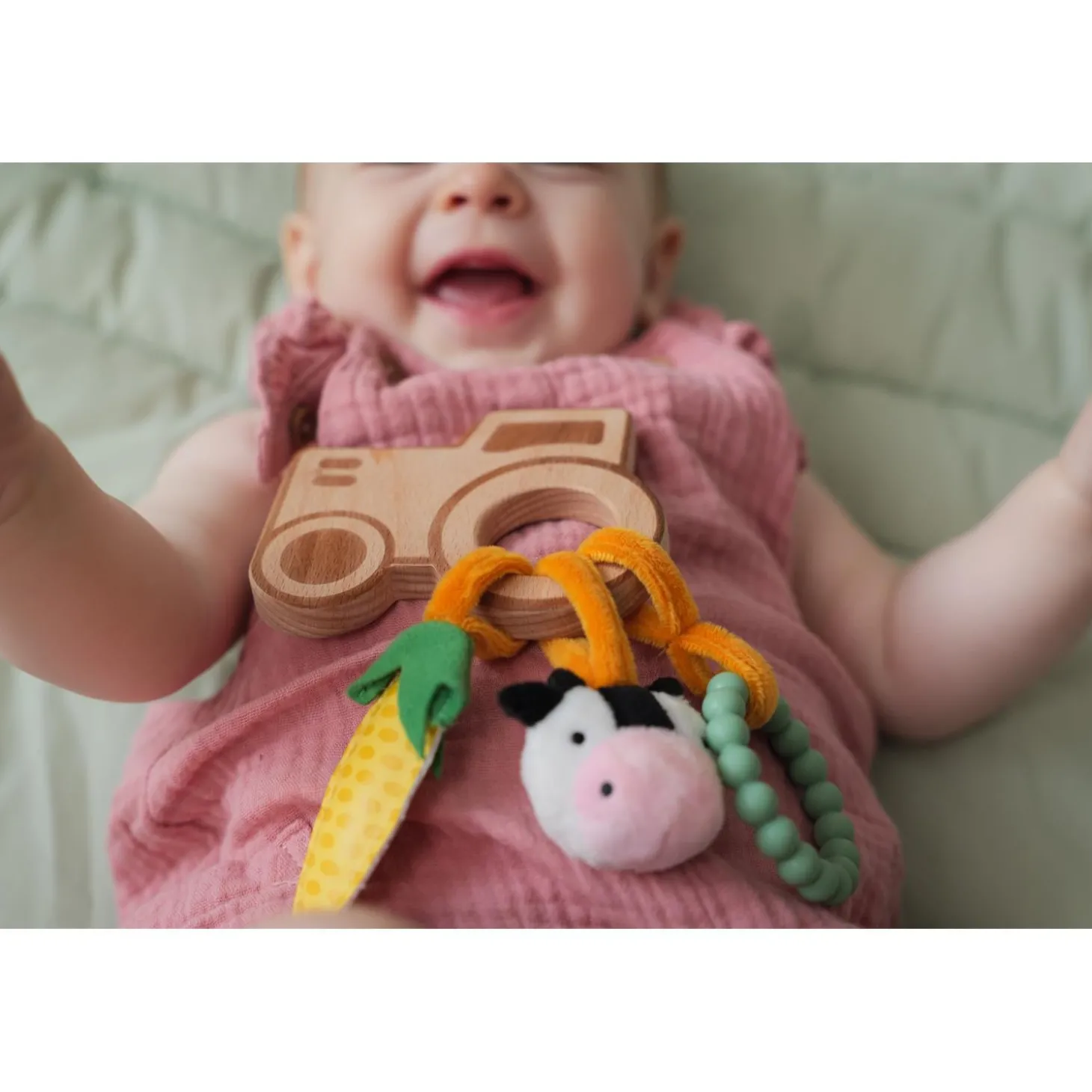 Little big friends Hochet en bois Ferme