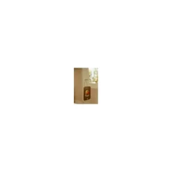 Little Dutch                    Marchande en bois FSC     Multicolore