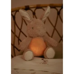 Little Dutch Peluche musicale et lumineuse Lapin Newborn
