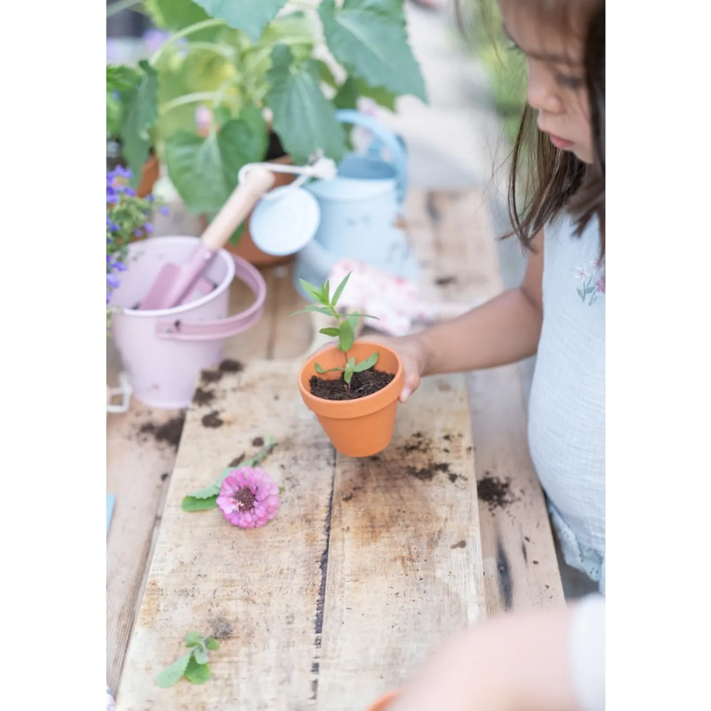 Little Dutch Seau Fairy Garden