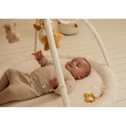 Little Dutch                    Tapis d'activités avec arches    Newborn