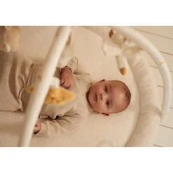 Little Dutch                    Tapis d'activités avec arches    Newborn
