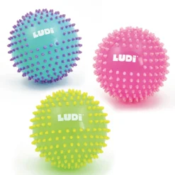 Ludi                    Balles de massage bicolores assorties    Multicolore            6 mois