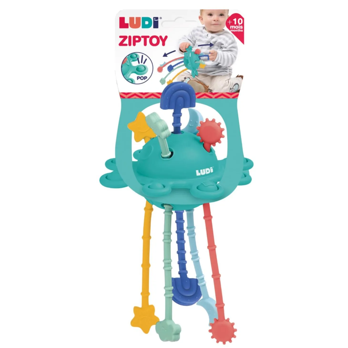 Ludi Zippy activite Multicolore