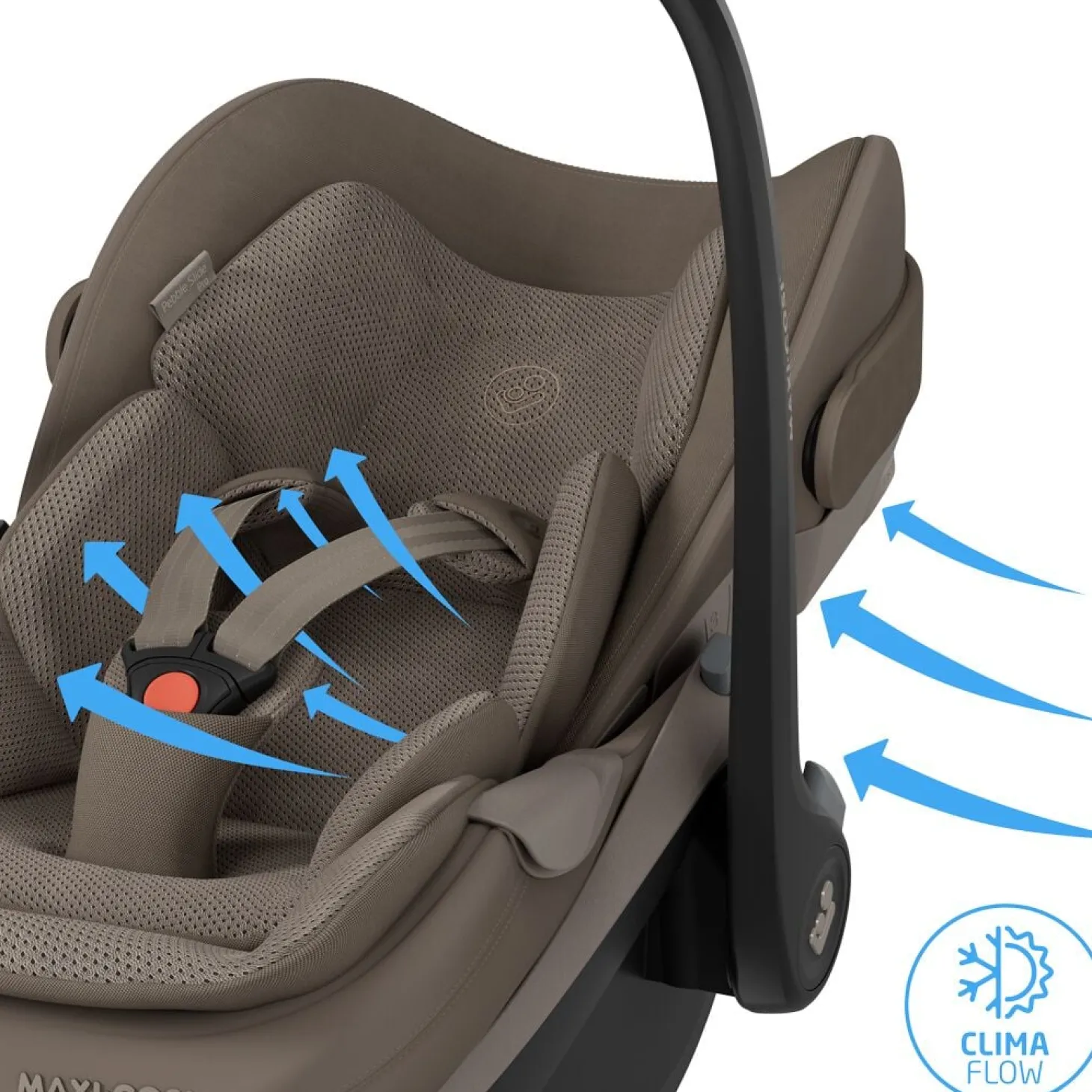 Maxi Cosi Coque Cosy Pebble slide pro Oak Truffle