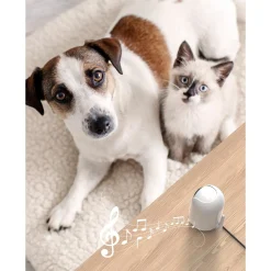 Momcozy Caméra pour BM03 Blanc