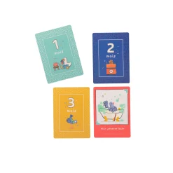 Moulin Roty                    Cartes Mes 12 premiers mois Puce & Pilou 30 cartes    Bleu