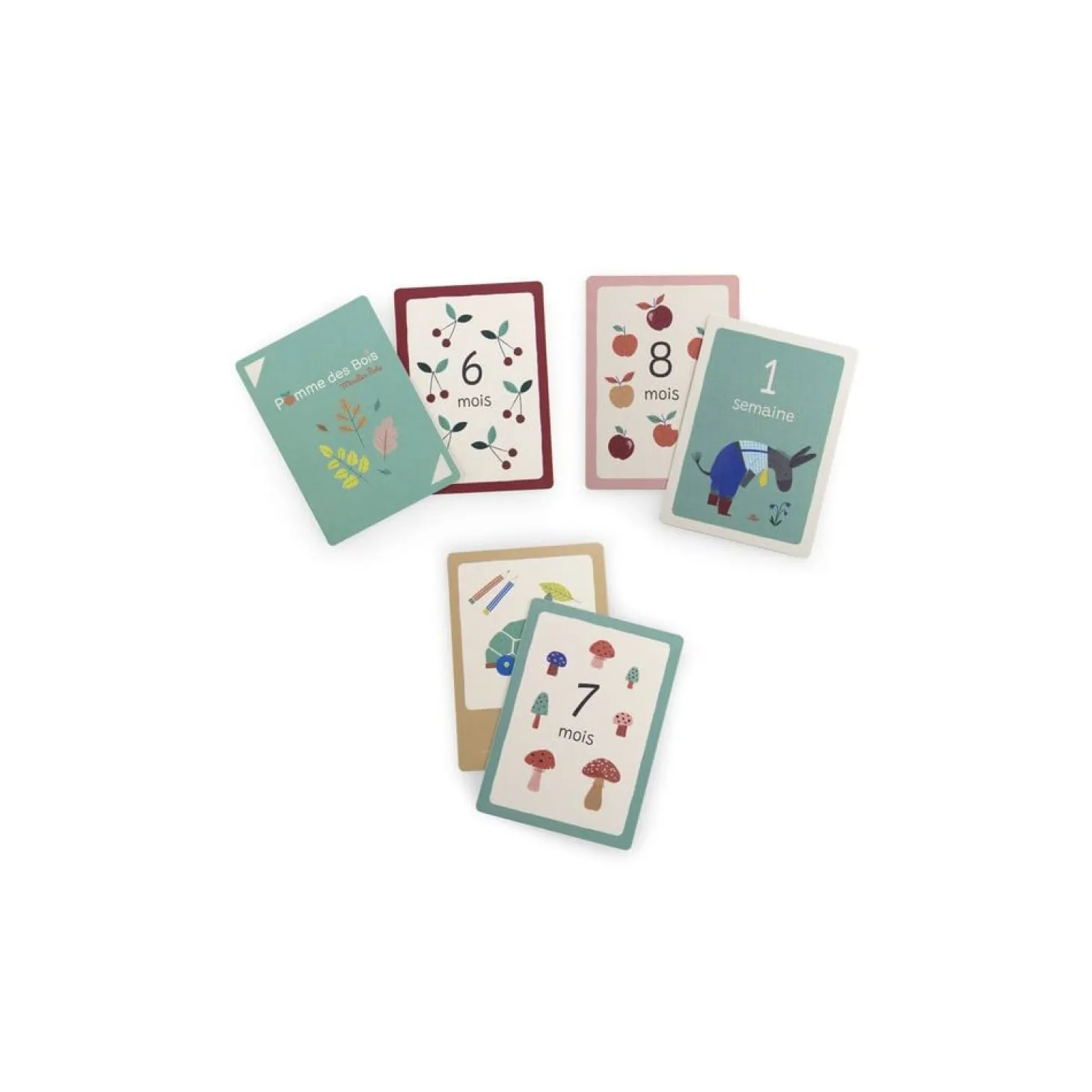 Moulin Roty Cartes Mes 12 premiers mois Pomme des bois