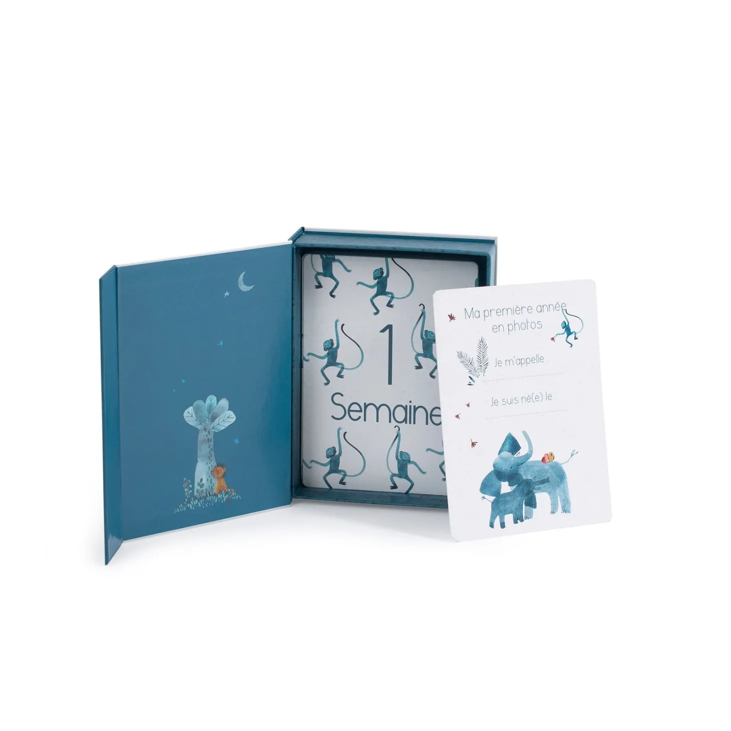Moulin Roty Cartes Mes 12 premiers mois Sous mon baobab