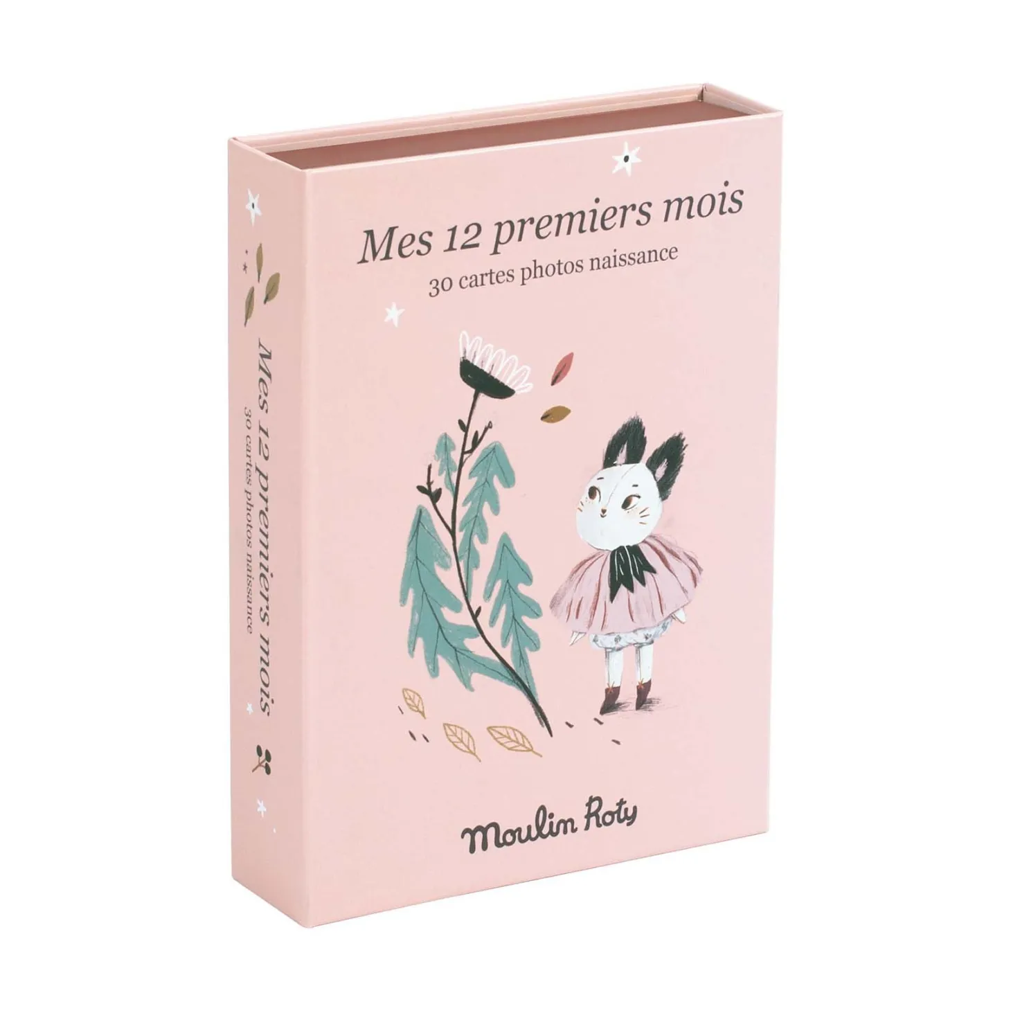 Moulin Roty Cartes Mes 12 premiers mois Après la pluie