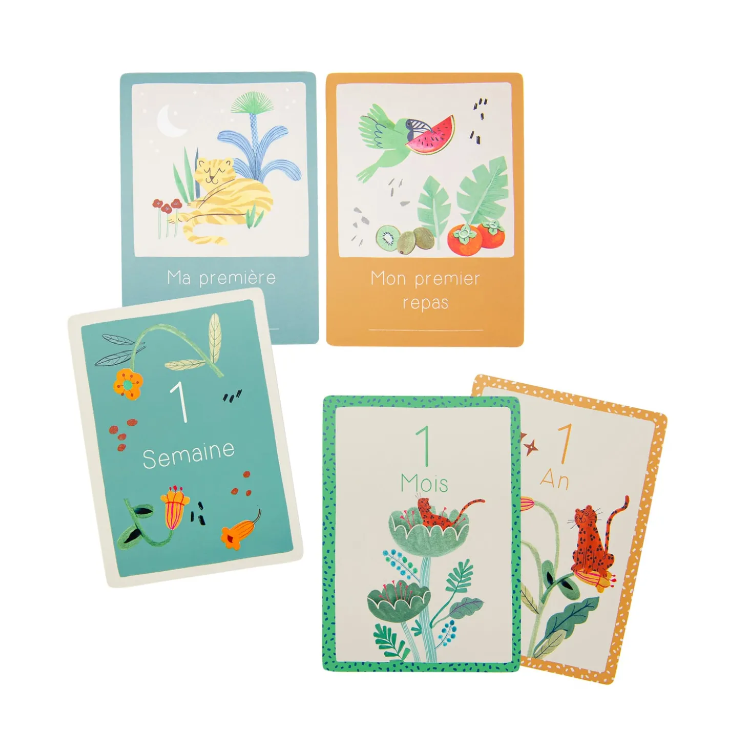 Moulin Roty Cartes Mes 12 premiers mois La forêt Mawa 30 cartes Crème/vert/marron