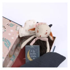 Moulin Roty Coffret livre Bonne nuit Après la pluie Multicolore
