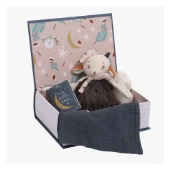 Moulin Roty                    Coffret livre Bonne nuit Après la pluie    Multicolore