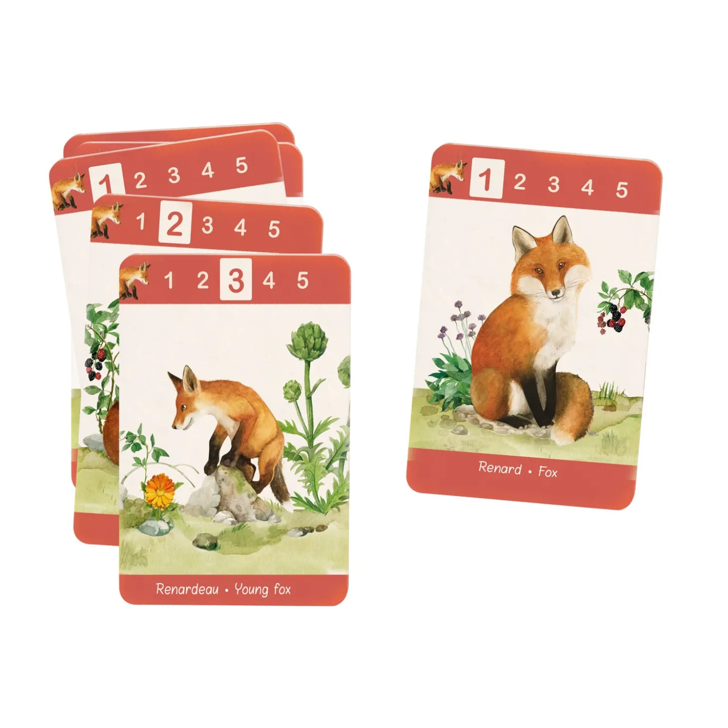 Moulin Roty Jeu de 7 familles Le jardin Multicolore