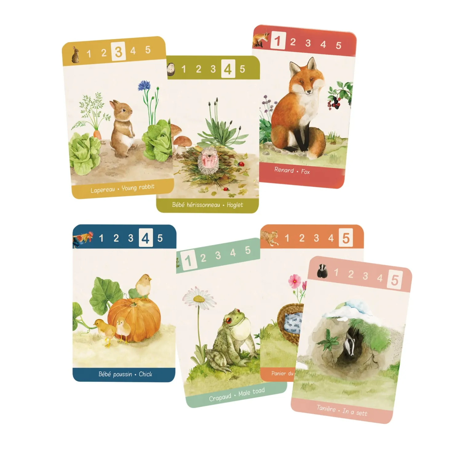 Moulin Roty Jeu de 7 familles Le jardin Multicolore