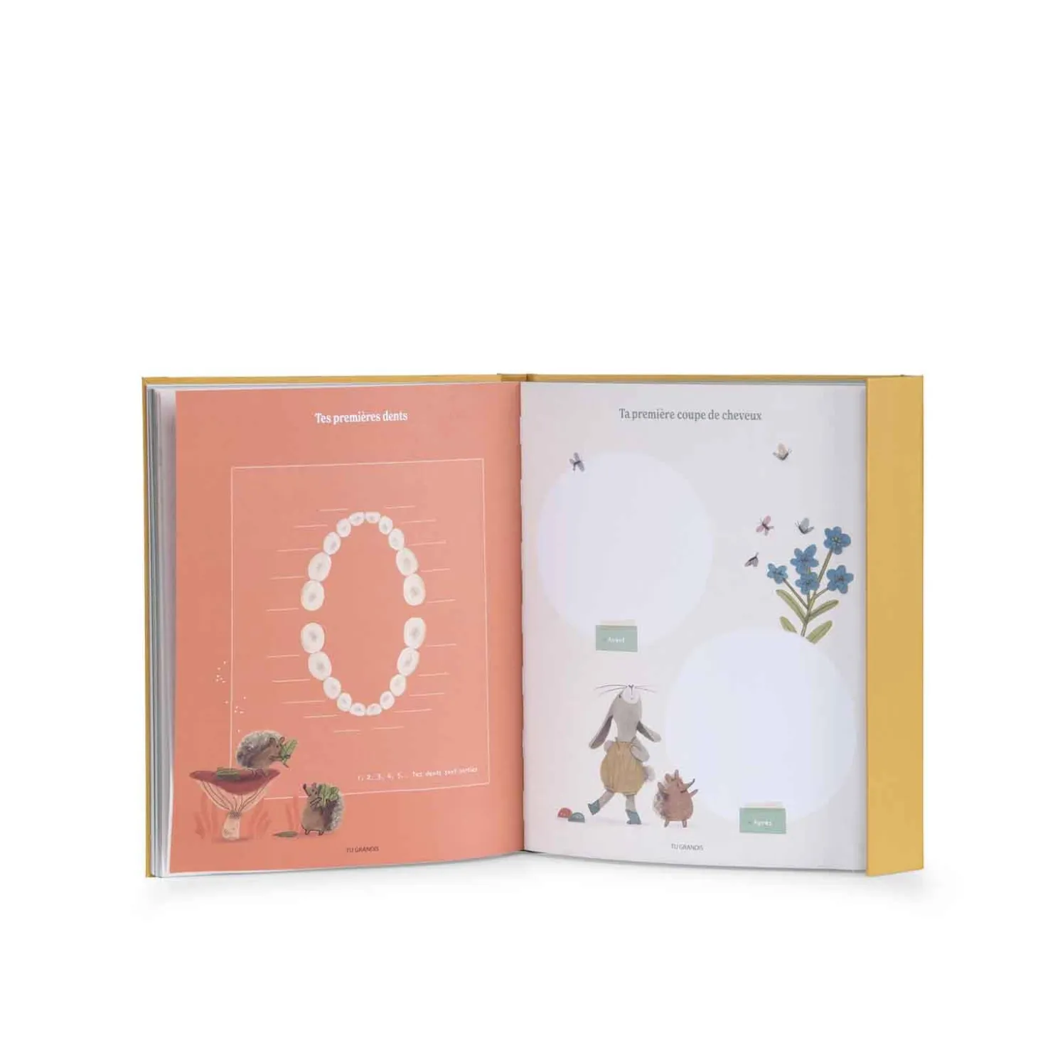 Moulin Roty Livre de naissance Ocre