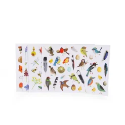 Moulin Roty Pochette stickers Le botaniste Le Jardin du Moulin Multicolore