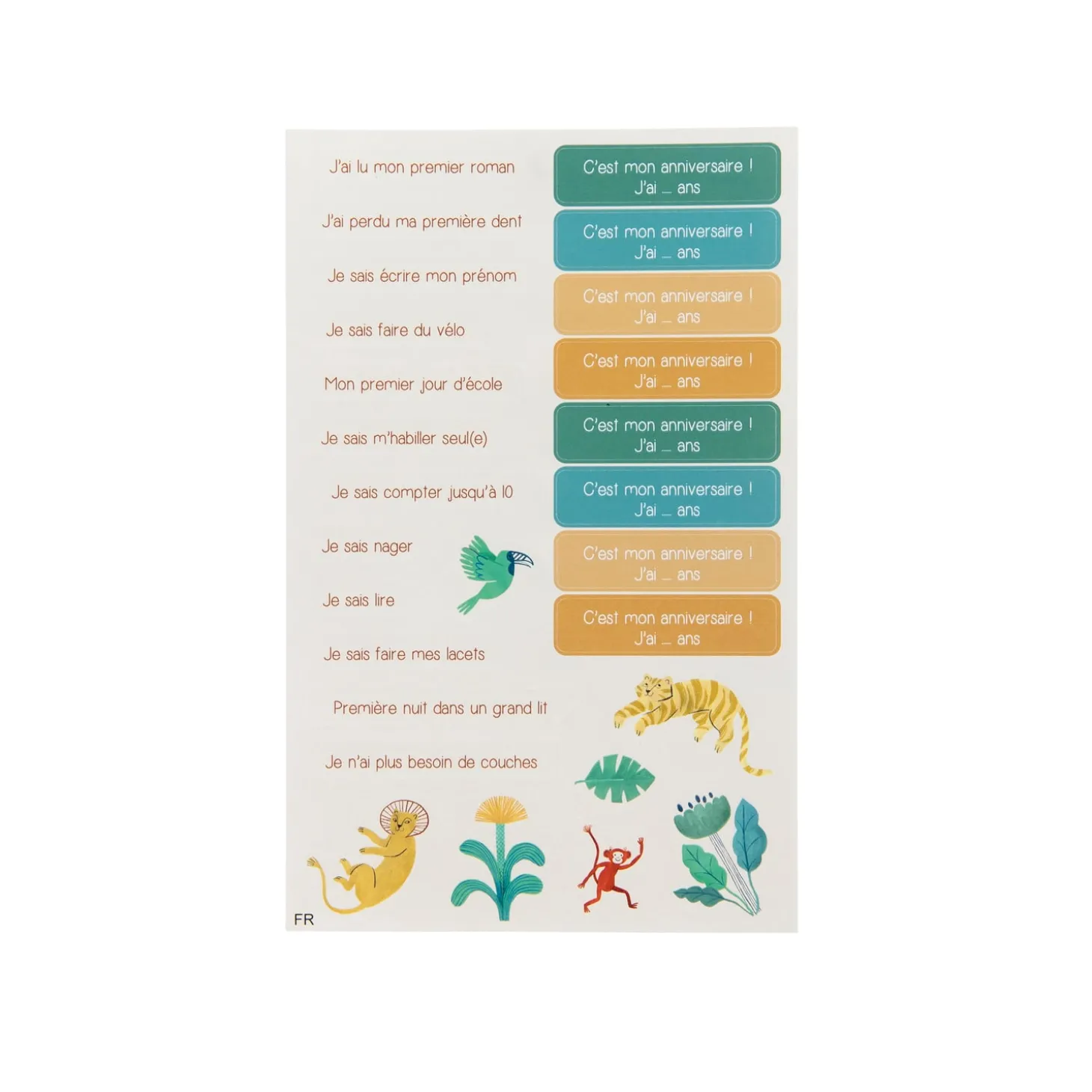 Moulin Roty Toise carnet La forêt Mawa Multicolore