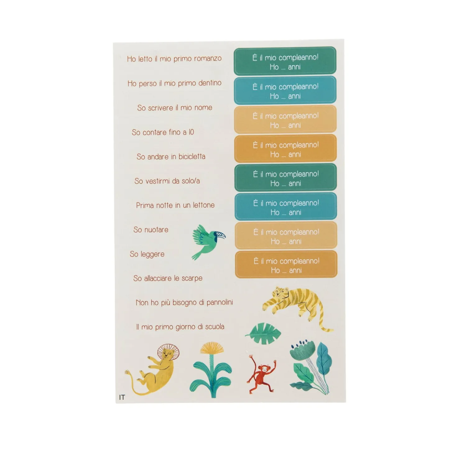 Moulin Roty Toise carnet La forêt Mawa Multicolore