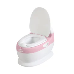 MS Innovaciones                    Pot    Rose