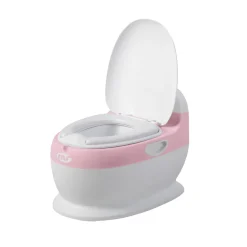 MS Innovaciones                    Pot    Rose