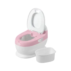 MS Innovaciones                    Pot    Rose