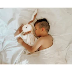 MY HUMMY Doudou Lapin 5en1 mechanism 5en1 Ecru-Rose