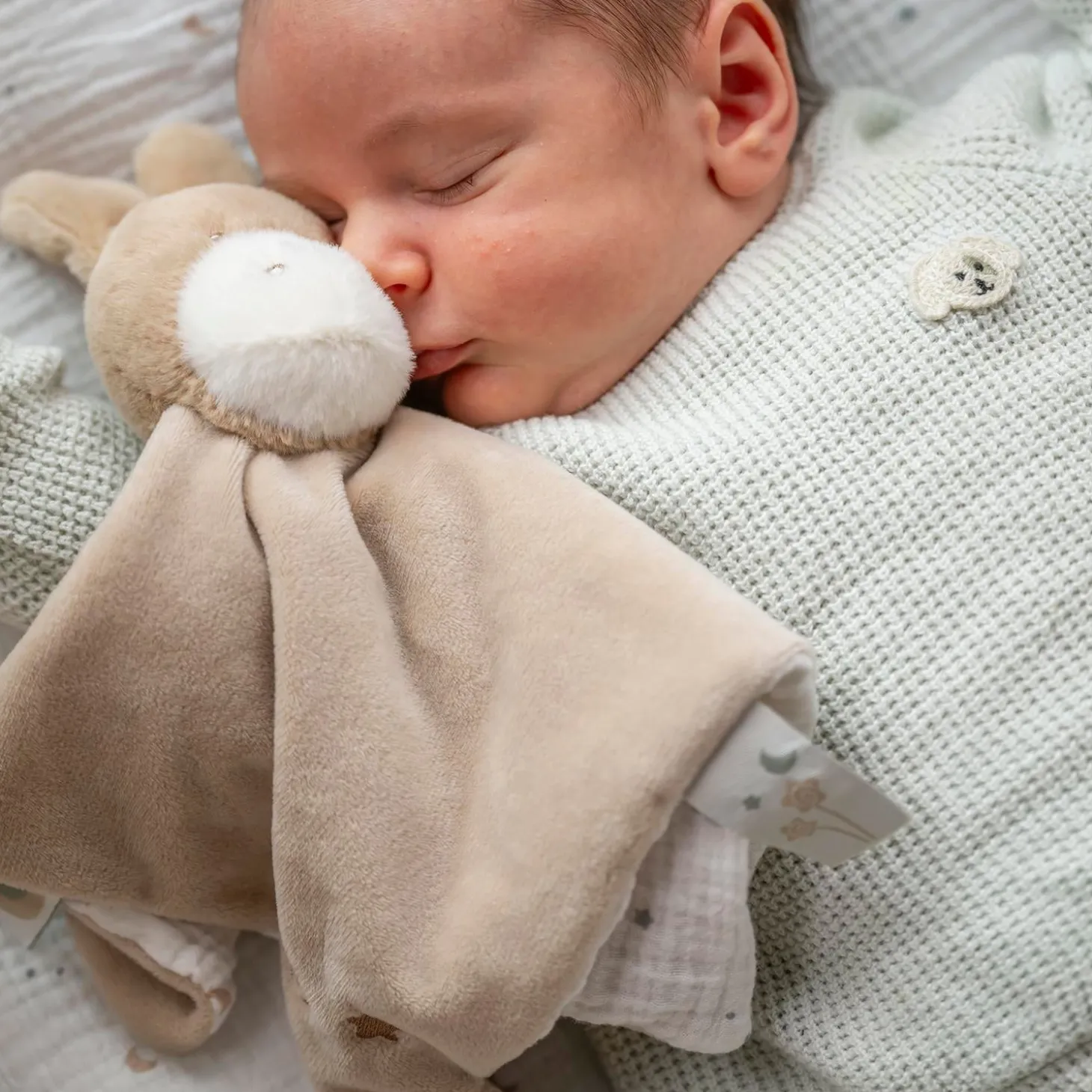Nattou Doudou Velours Loulou Âne Caramel