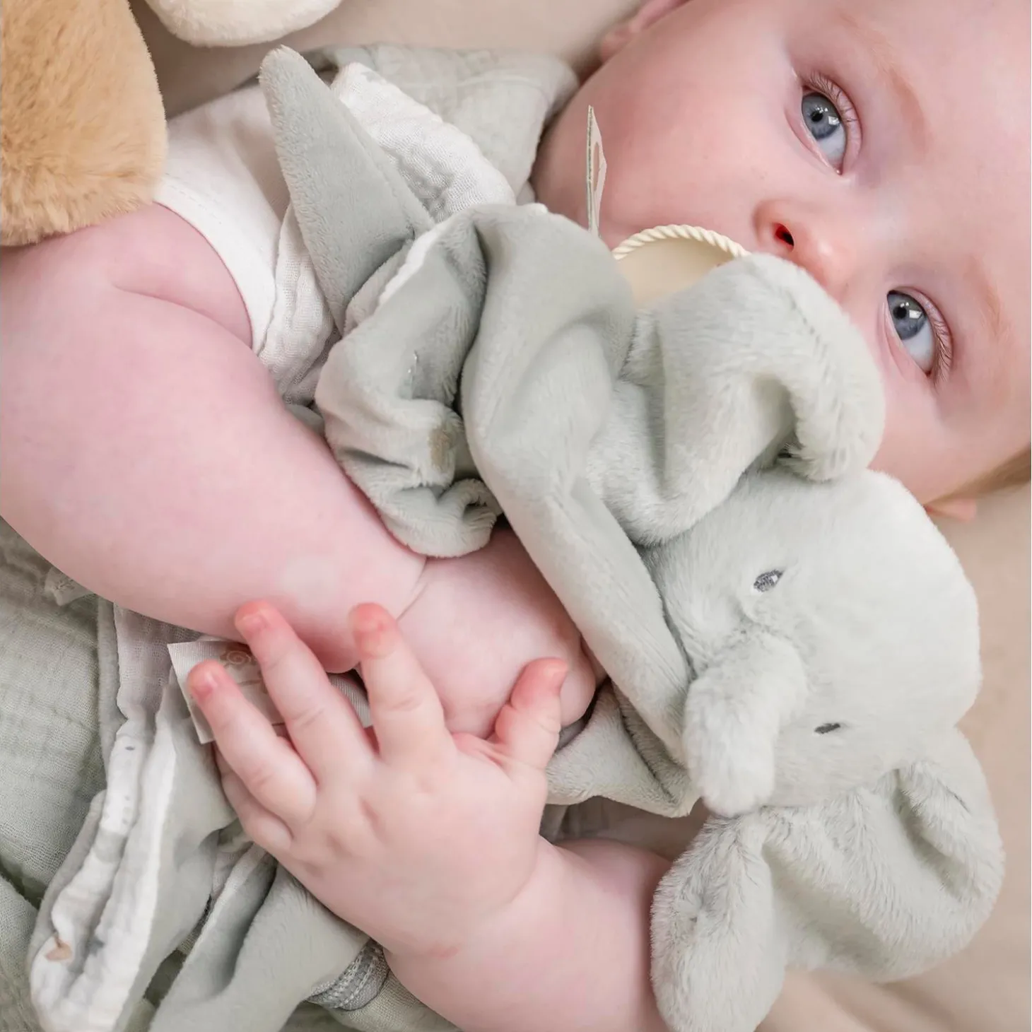 Nattou Doudou Velours Loulou Éléphant Vert tilleul