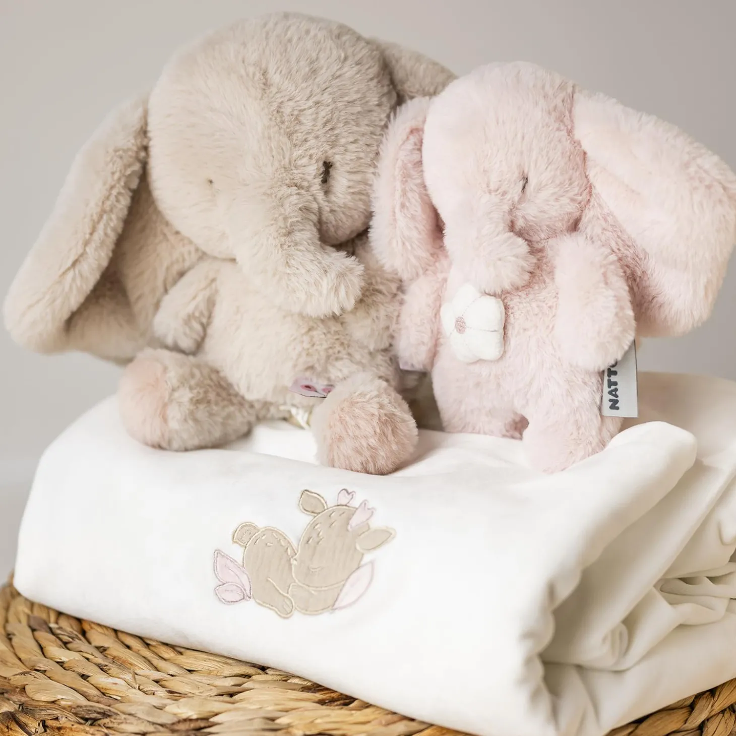 Nattou Mini Peluche Musical Éléphant Fanfan Rose