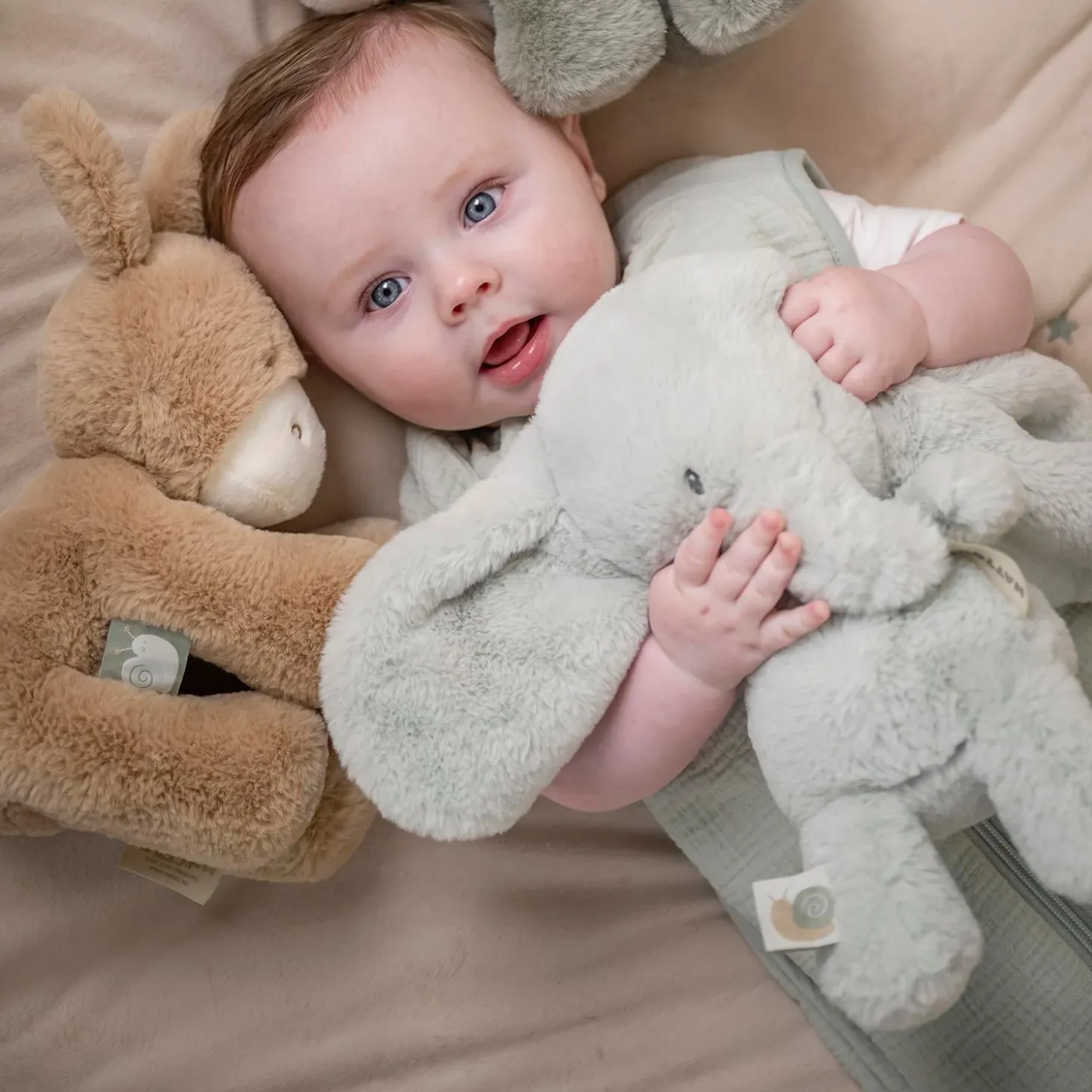 Nattou Peluche Loulou Éléphant Vert tilleul