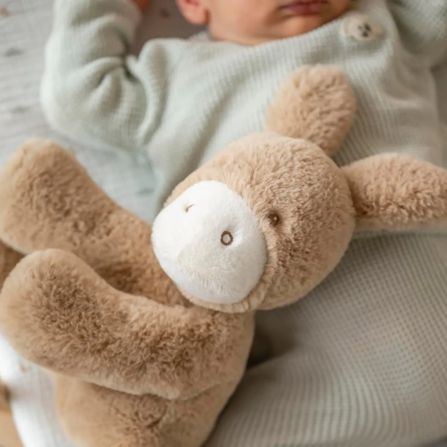 Nattou Peluche Loulou Âne Caramel
