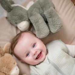 Nattou                    Peluche Loulou    Âne Vert foncé