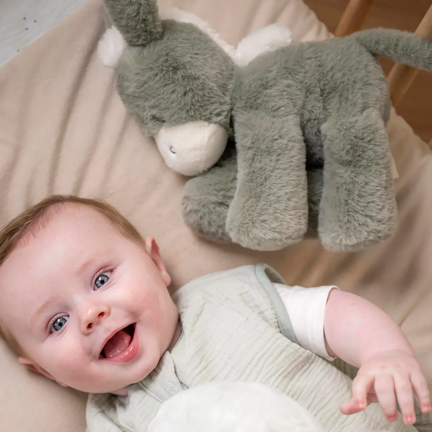 Nattou Peluche Loulou Âne Vert foncé