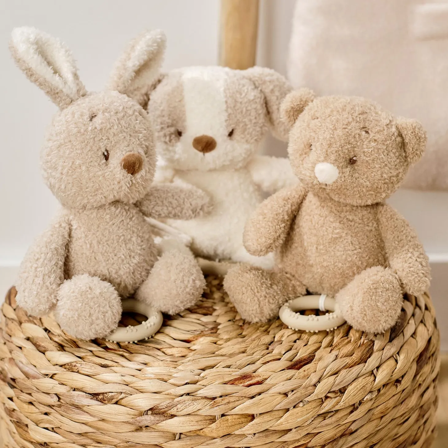 Nattou Peluche musicale Bébé Chien Bouclette Teddy Ecru