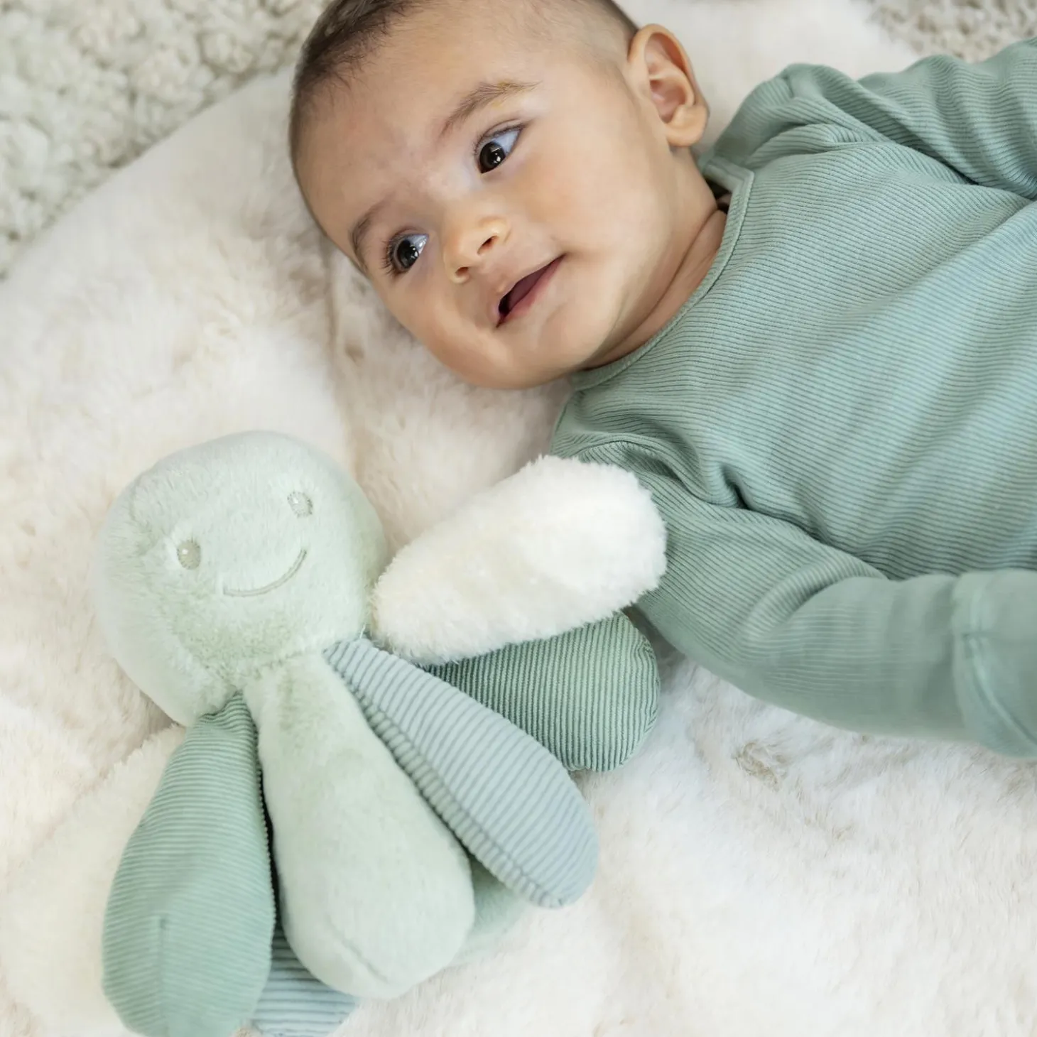 Nattou Peluche Pieuvre activité Lapidou Vert tilleul