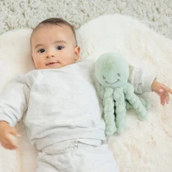 Nattou                    Peluche Pieuvre Toudous Lapidou    Vert tilleul
